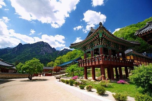 Công viên Seoraksan nổi tiếng với những đỉnh núi, rừng thông và cảnh sắc thiên nhiên tuyệt đẹp