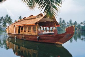 vùng kênh rạch Kerala là nơi có nhiều loài sinh vật thủy sinh độc đáo bao gồm cua, ếch và cá thòi lòi, các loài chim nước và động vật như rái cá và rùa.
