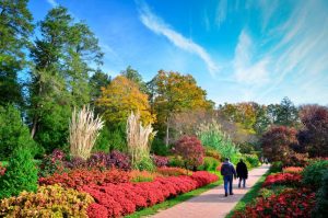 Longwood Gardens khu vườn tuyệt vời nước Mỹ