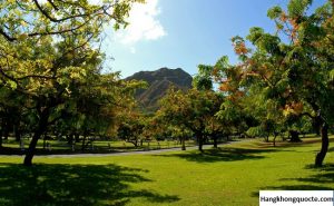 Công viên tuyệt đẹp ở Honolulu-nơi du khách không thể bỏ qua