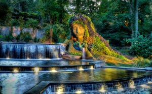 vẻ đẹp của Atlanta Botanical Garden