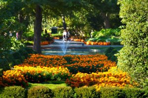 Vườn ươm và vườn thực vật Dalla ngập tràn sắc màu là điểm đến thú vị cho du khách